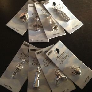 Charm bracelet charms
