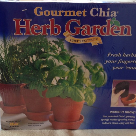 Chia Herb garden!