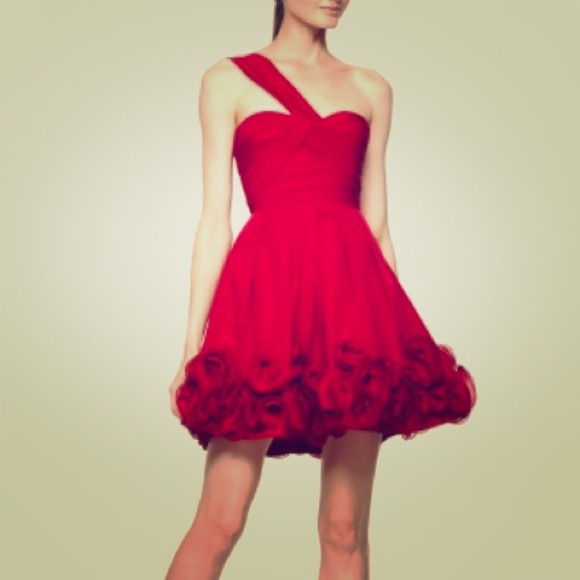 BCBG Red Rosette new size 12 dress