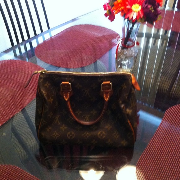 Louis Vuitton purse