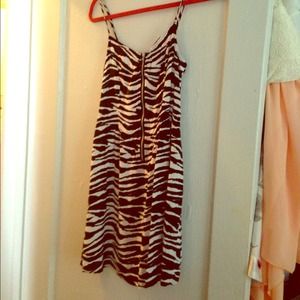 Zebra dress