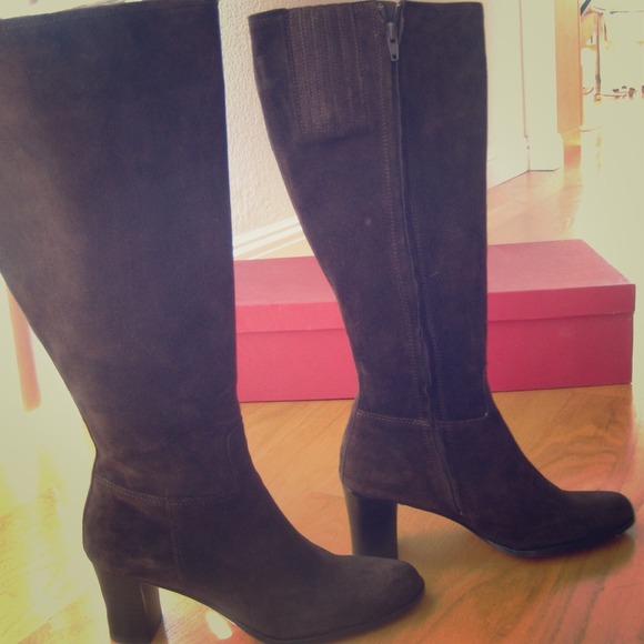 Brand New Vaneli Niron Boots (suede)