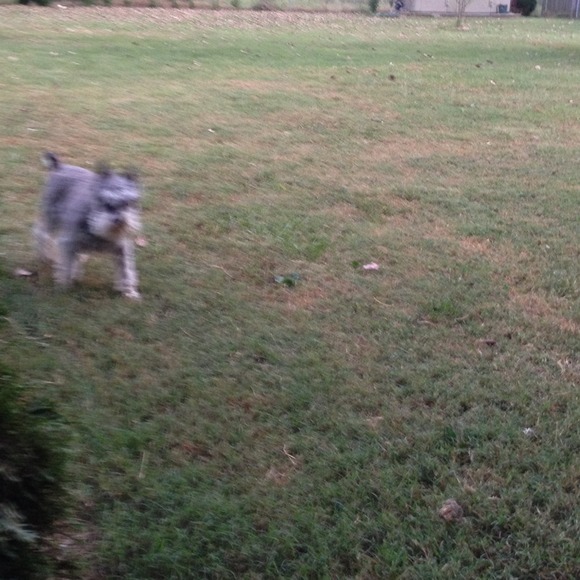 Looking for miss me jeans for my gal size 32