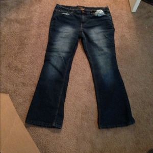 Sz 18 Jeans Bundle YMI, Calvin Klein, & Hydraulic