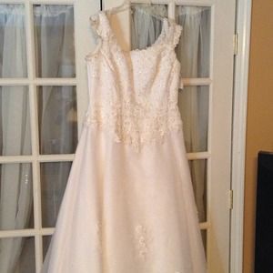 Wedding Dress from David's Bridal