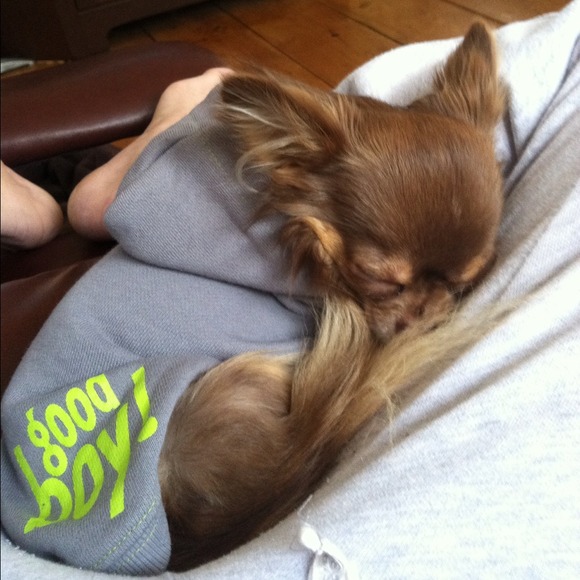 SOLD - Picture 4 of 4