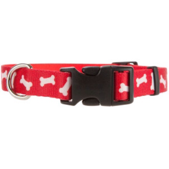 dog collar with bones