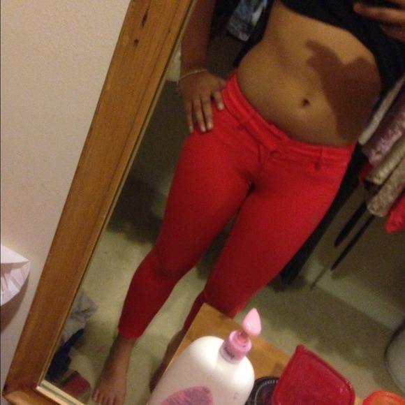 Dressy pants