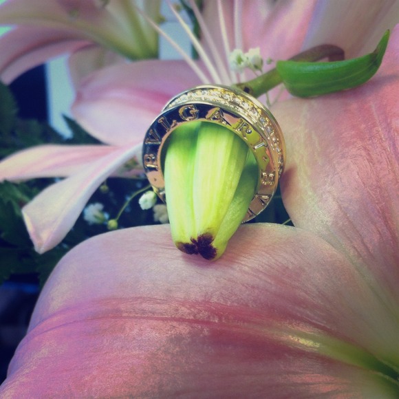 BVLGARI Size 8 ringtone with crystals