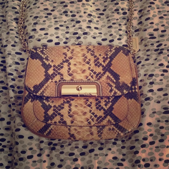 Coach clutch/side bag