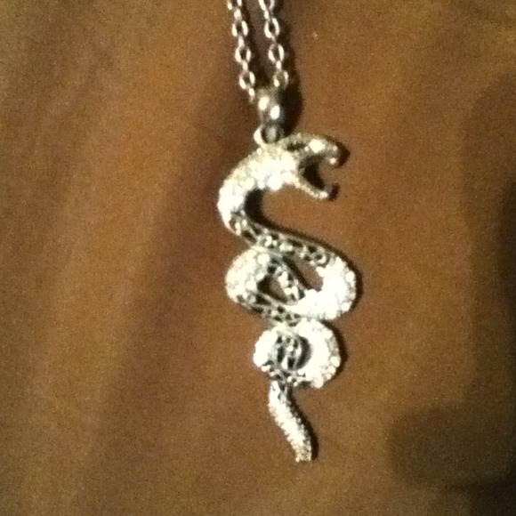 Snake necklace