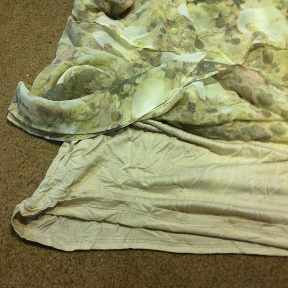 Shell - Picture 3 of 3