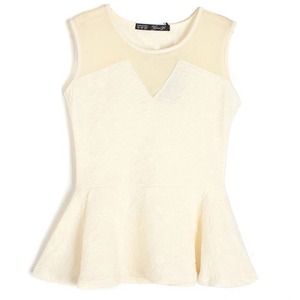 Flattering Peplum Embossed Floral Mesh V Neck Top