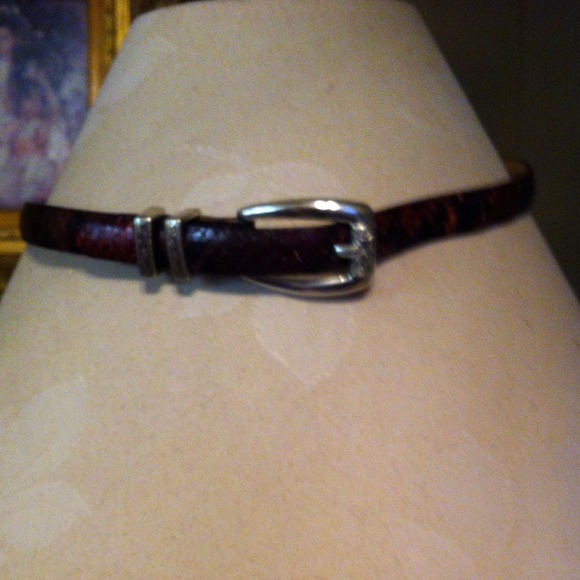 Real Snake Skin Belt