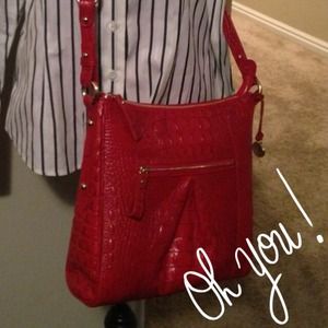 Beautiful Brahmin purse