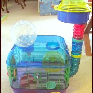 Hamster house set