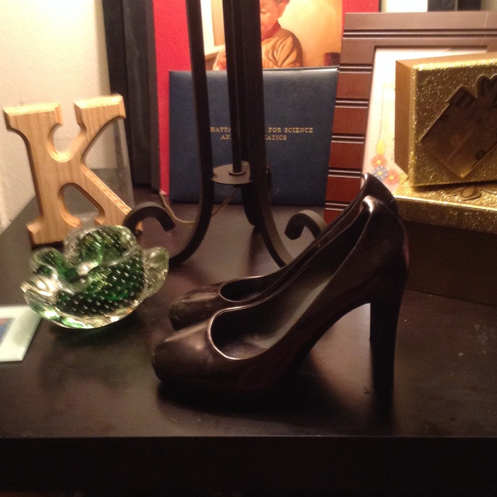 THEORY Steel Pumps
