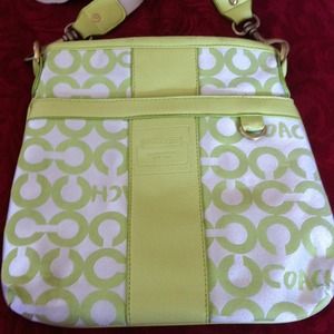 So cute with brown, lime green adjustable side bag