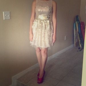 Mesh Gold Skater Dress