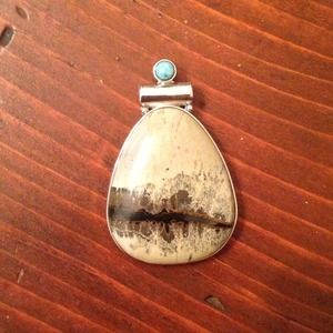 Stunning  picture jasper pendant
