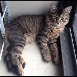 just show off my Princess Klohey