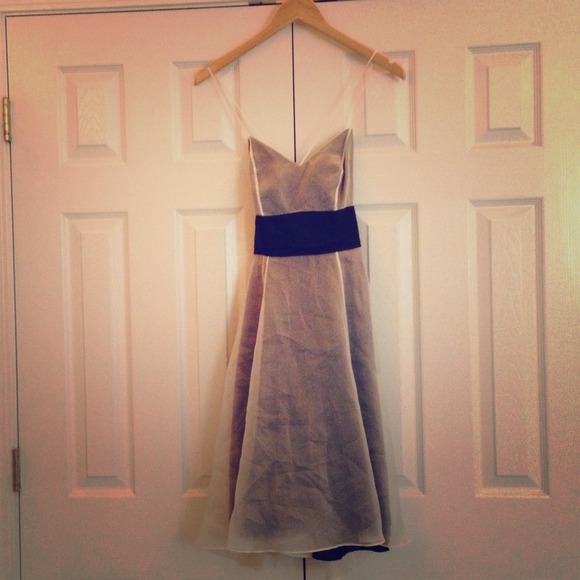Jay Brundson Dove Dress