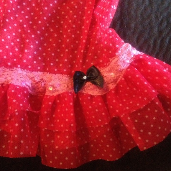 Intimates. - Picture 3 of 4