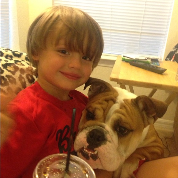 My bully babies❤not for sale - Picture 4 of 4