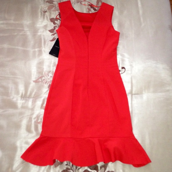 🔴SOLD ON EBAY🔴 HOST PICK Zara Ruffled Dress - Picture 2 of 4