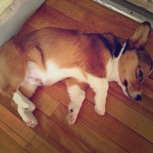 I'm new to Poshmark!