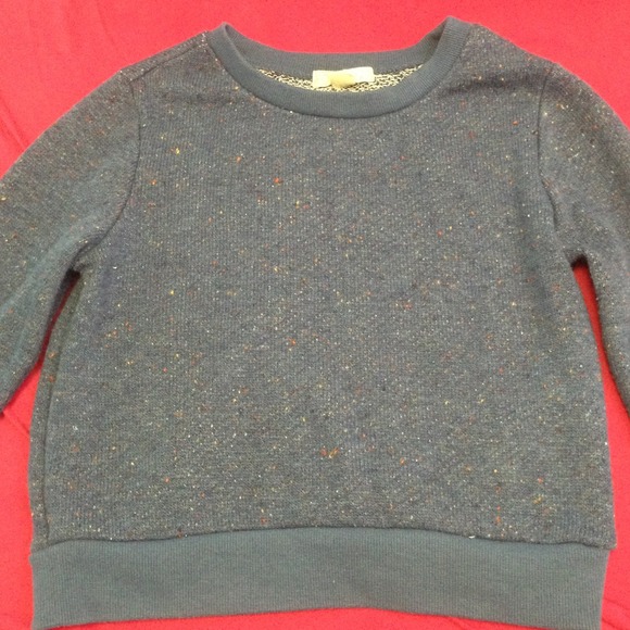 Cropped Forever 21 sweater