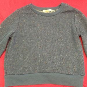 Cropped Forever 21 sweater