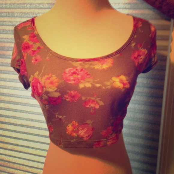 NWOT Crop Top