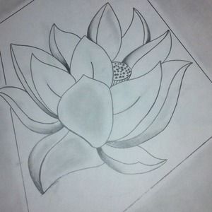 Lotus (Artwork)