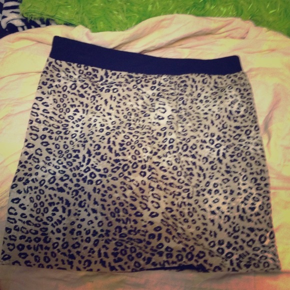 Cheetah Print Skirt