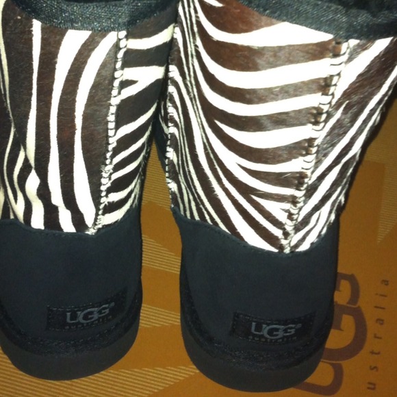 zebra uggs zebra uggs
