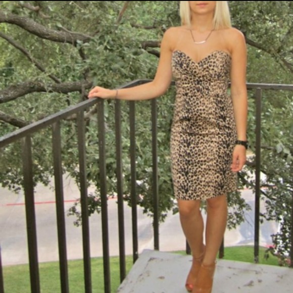 Leopard Print Dress
