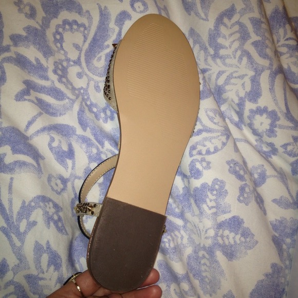 Size 7 Steve Madden gorgeous flats! A must have!! - Picture 3 of 4