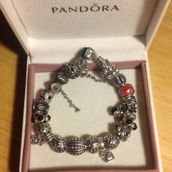 Pandora Charms 1