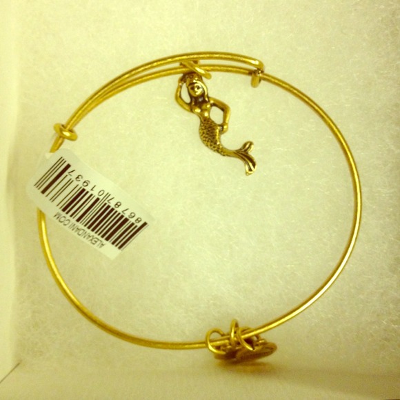 🚫Sold in bundle🚫Alex and Ani