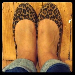 BCBG cheetah flats