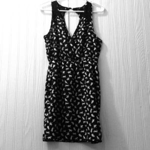 Reduced! black & white cat print dress😺