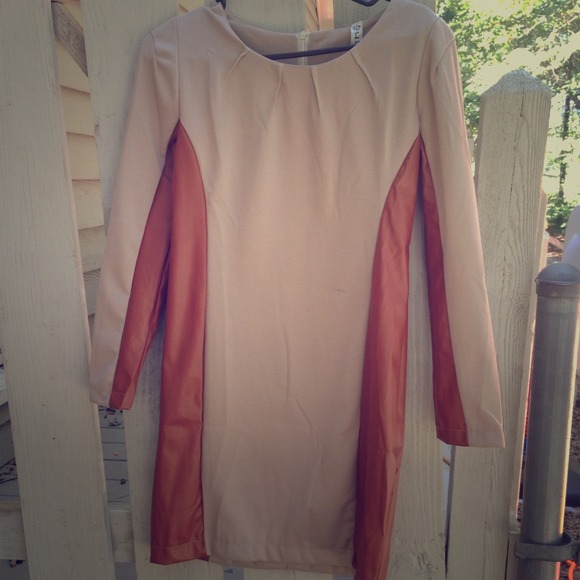 Long sleeve fall/winter dress