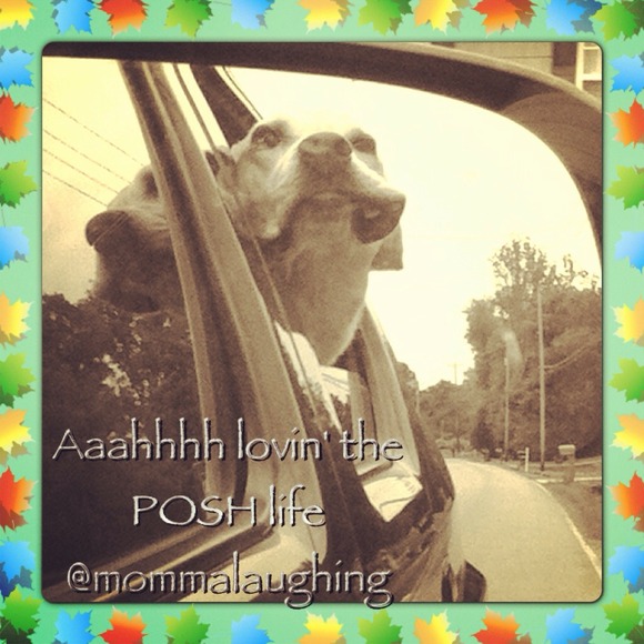 Lovin' life w/POSH!