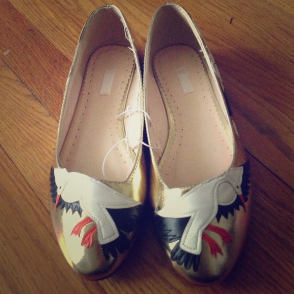 Gold swan flats