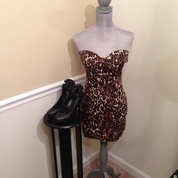 Strapless Bustier Dress/Tunic