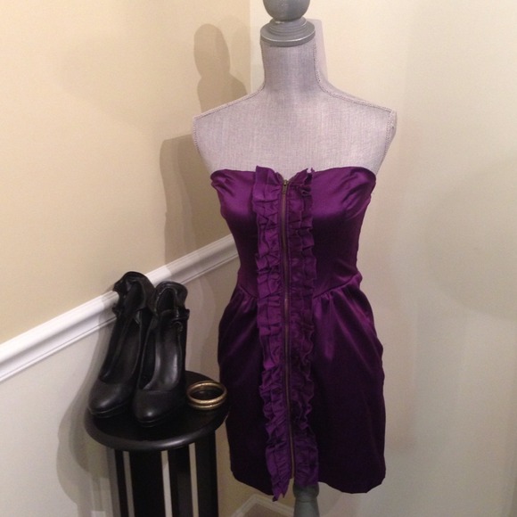 🎉Host Pick🎉 Zipper Ruffled Tube Dress