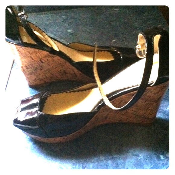 Wet seal wedges