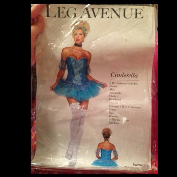 Cinderella Costume for Woman