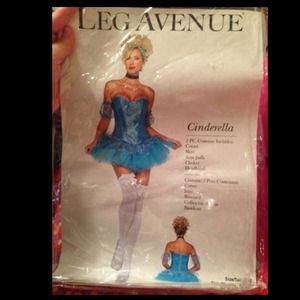 Cinderella Costume for Woman